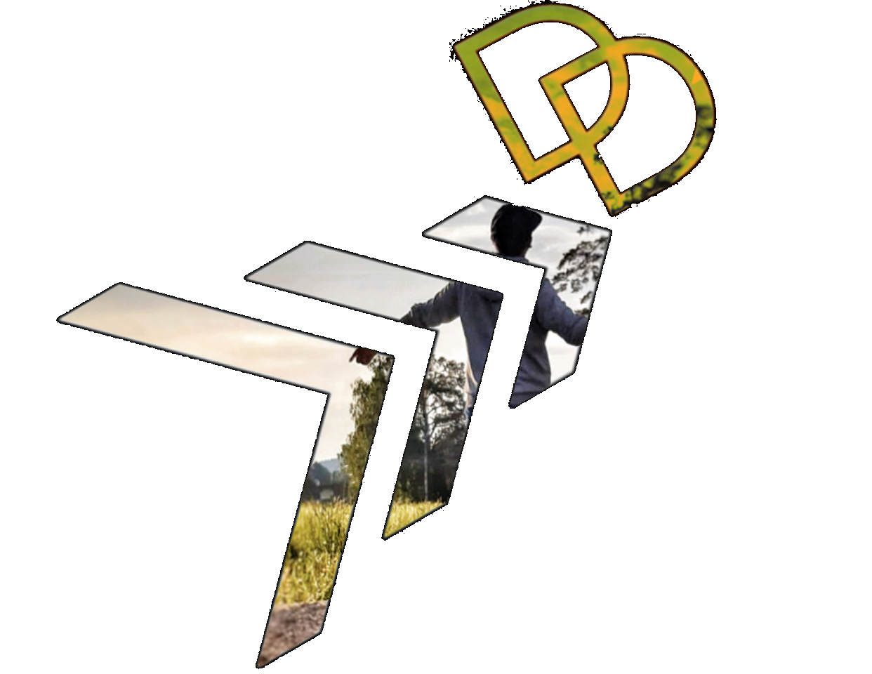 Dach und Design